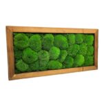 Machový obraz obdĺžnik 40x20cm Machový obraz obdĺžnik 40x20cm