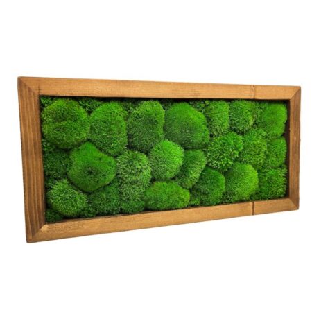 Machový obraz obdĺžnik 40x20cm