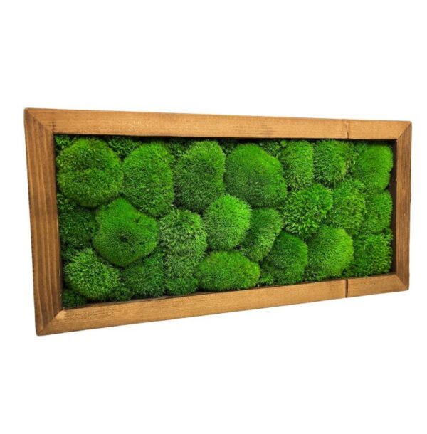 Machový obraz obdĺžnik 40x20cm