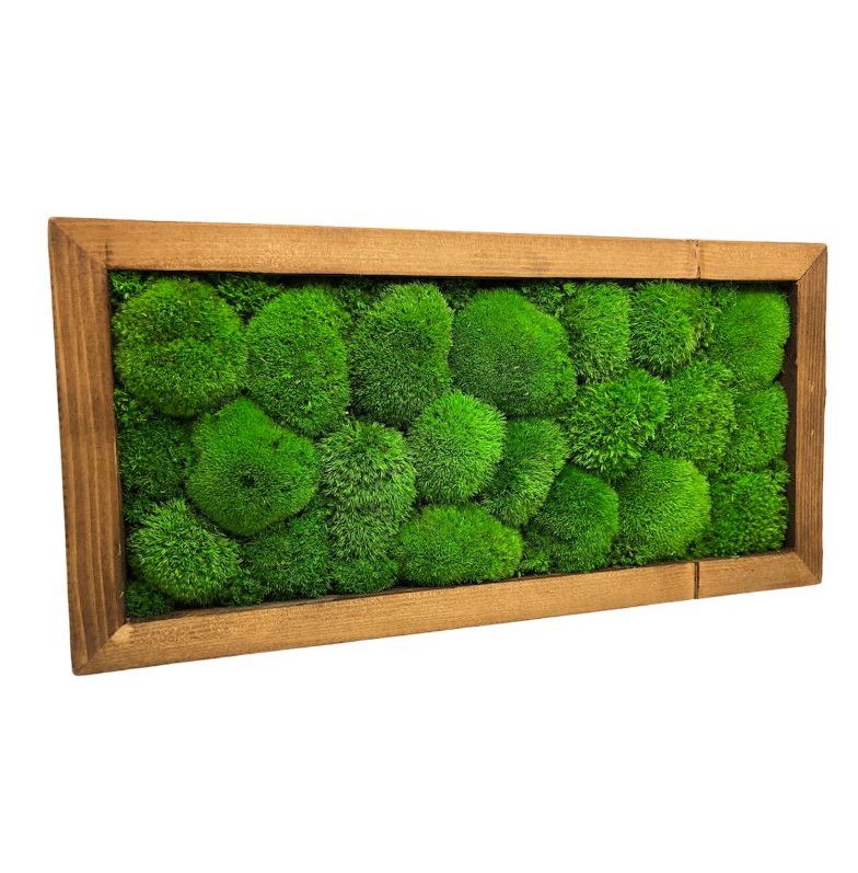 Machový obraz obdĺžnik 40x20cm Machový obraz obdĺžnik 40x20cm