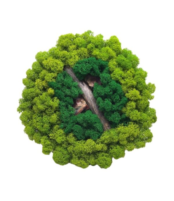 Machový obraz Kruh bezrámový 22cm
