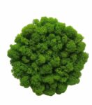Machový obraz Kruh bezrámový 15cm Machový obraz Kruh bezrámový 15cm
