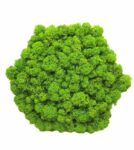 Machový obraz - 6-uholník - bezrámový - 22cm