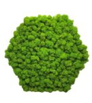 Machový obraz - 6-uholník - bezrámový - 30cm Machový obraz - 6-uholník - bezrámový - 30cm