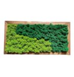 Machový obraz kombinácia obdĺžnik 40x20cm Machový obraz kombinácia obdĺžnik 40x20cm