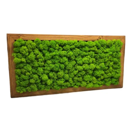 Machový obraz kombinácia 40x20cmMachový obraz lišajník s drevom 30x30cm Machový obraz lišajník obdĺžnik 40x20cm