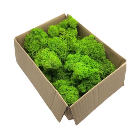 Stabilizovaný lišajník 100g
