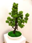 Machový bonsai - Bezúdržbový bonsaj - Luxury