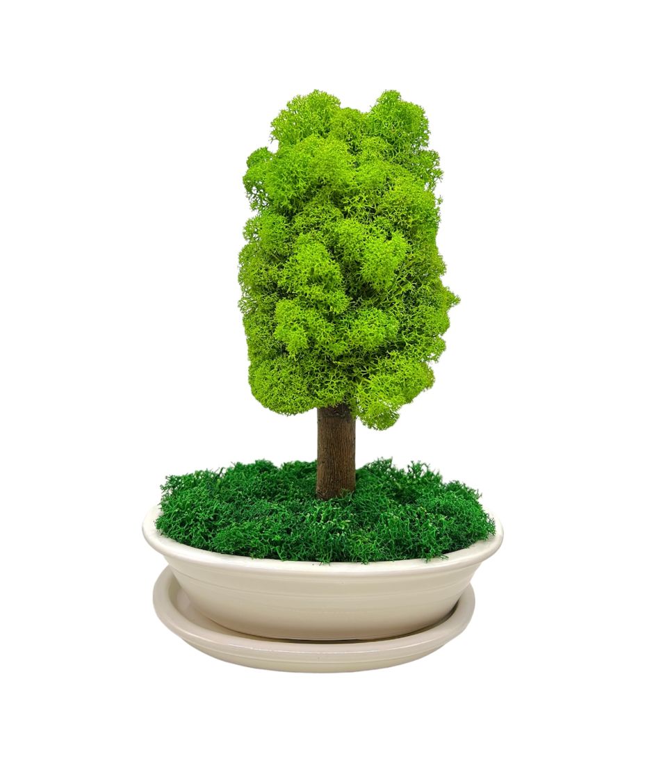 Machový bonsai - Bezúdržbový bonsaj