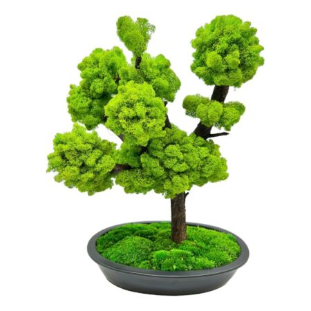 Machový bonsai - Bezúdržbový bonsaj - Dark