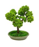 Machový bonsai - Bezúdržbový bonsaj - Green Machový bonsai - Bezúdržbový bonsaj - Green