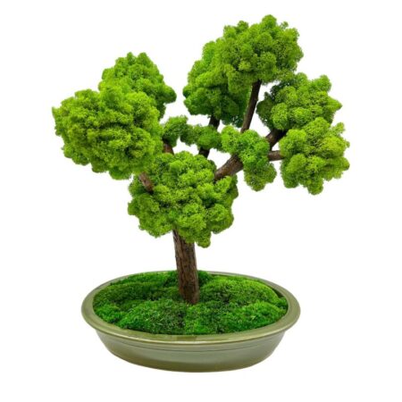 Machový bonsai - Bezúdržbový bonsaj - Green