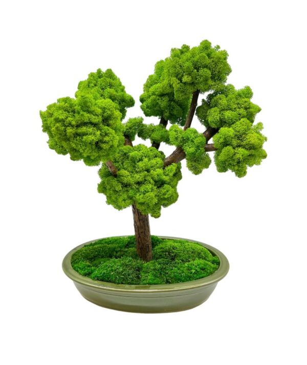 Machový bonsai - Bezúdržbový bonsaj - Green