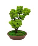 Machový bonsai - Bezúdržbový bonsaj - Brown
