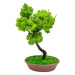 Machový bonsai - Bezúdržbový bonsaj - Brown
