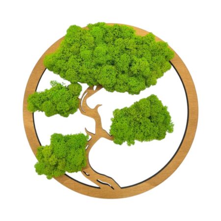 Machový obraz Bonsai 30cm dub