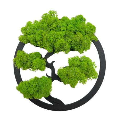 Machový obraz Bonsai 20cm Black