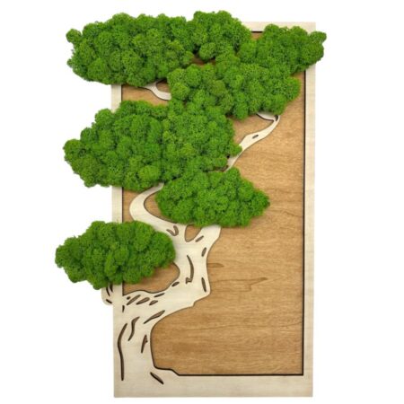 Machový obraz Bonsai 50x30cm