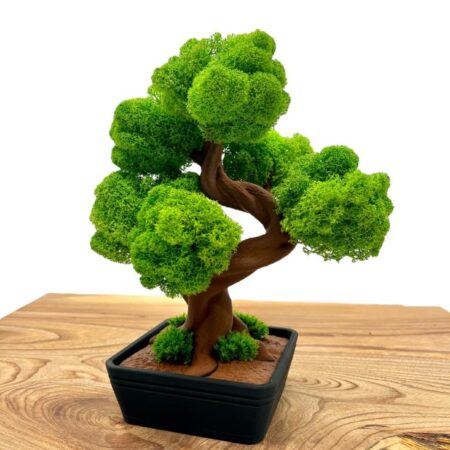 Machový 3D bonsai