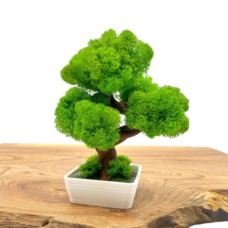 Machový 3D bonsai Mini White