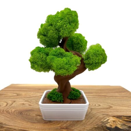 Machový 3D bonsai White I.