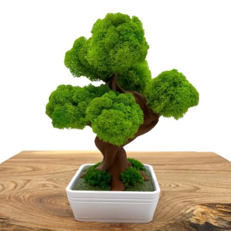 Machový 3D bonsai White II.