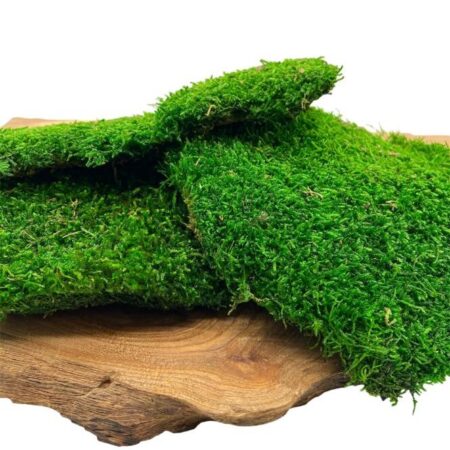 Stabilizovaný plochý mach PREMIUM