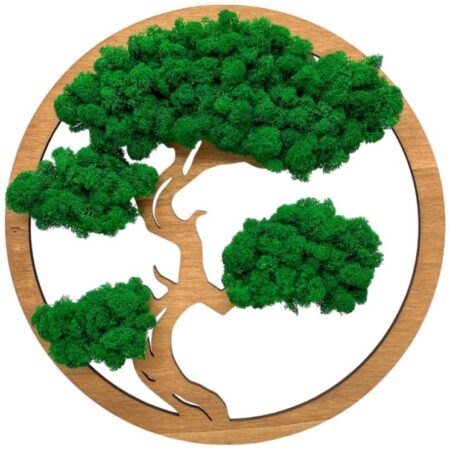 Machový obraz Bonsai 40cm Dark Green