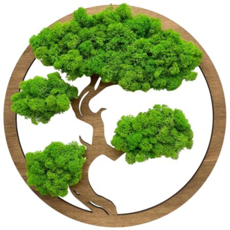 Machový obraz Bonsai 40cm