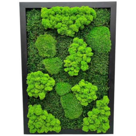 Machový obraz Trio Moss 50x35cm