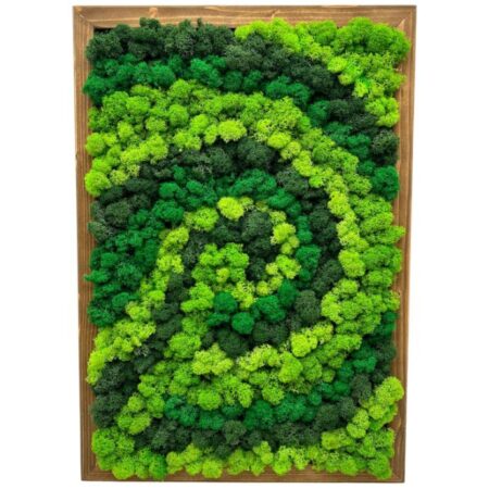 Machový obraz Spiral 50x35cm