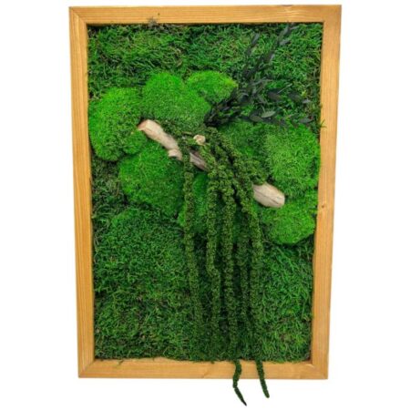 Machový obraz Jungle II. 50x35cm
