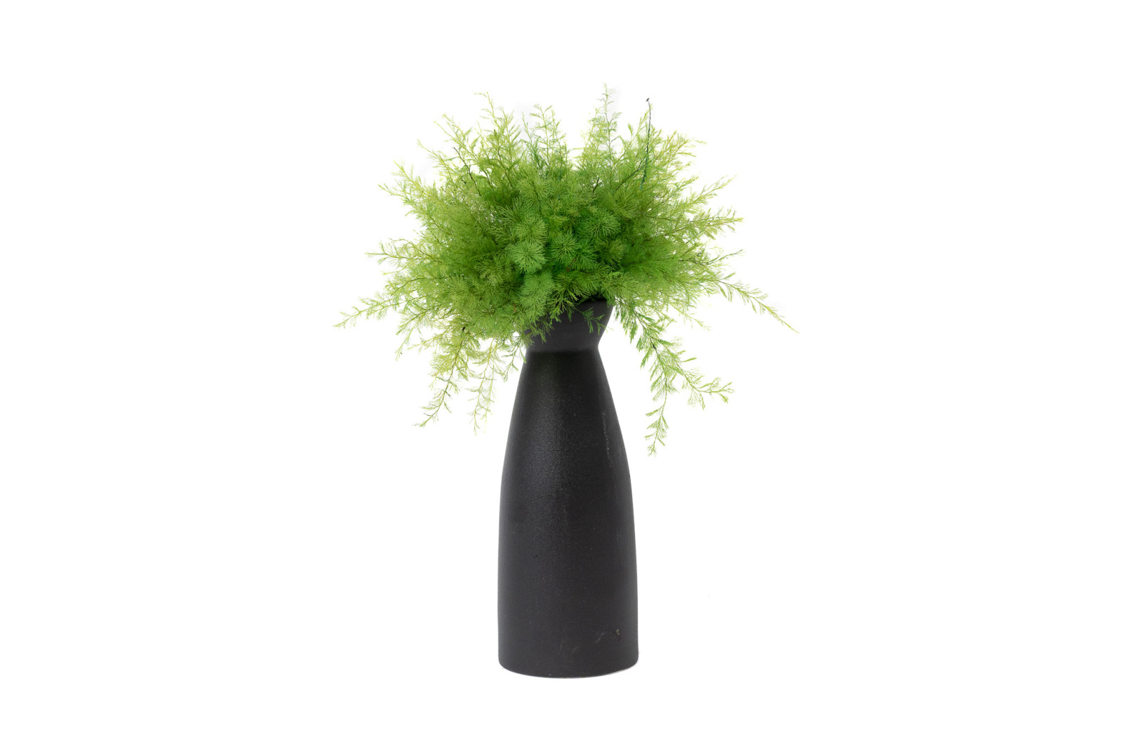 preserved-air-fern-18