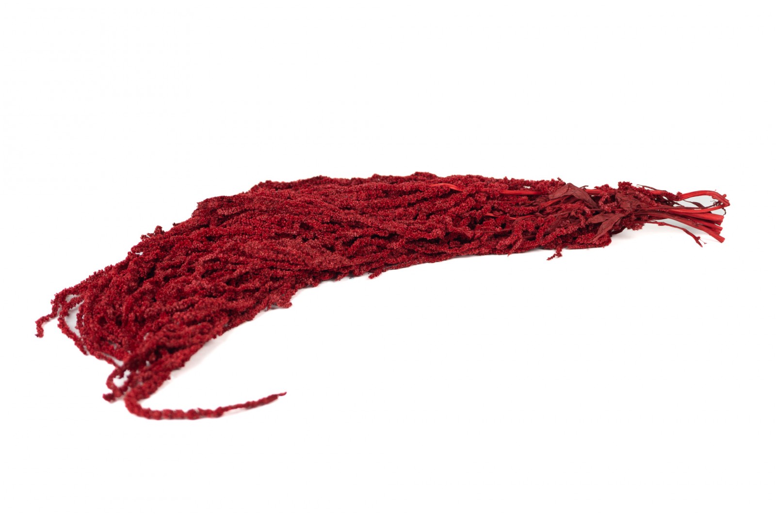 preserved-amaranthus-26 (2)