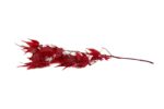 preserved-maple-30-l-size (1)